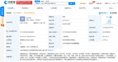 計(jì)算機(jī)軟件的技術(shù)開發(fā)與銷售 創(chuàng)新驅(qū)動(dòng)與市場拓展的雙輪驅(qū)動(dòng)